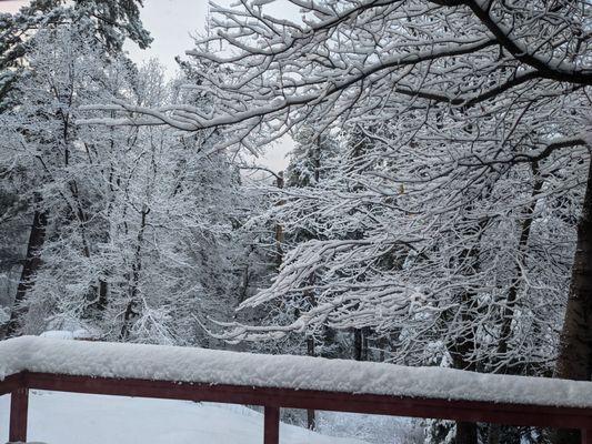 View from vista cabin