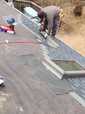 Roof and Skylight