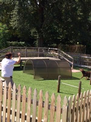 Our agility course & play areas are astro turf and great for babies with allergies..They love the TLC time..