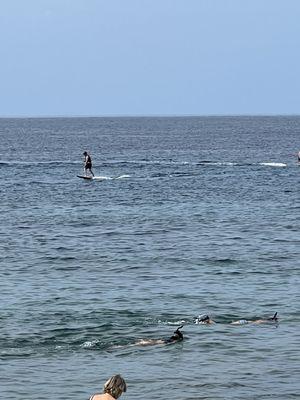 Riding efoil on a wonderful morning in Maui.