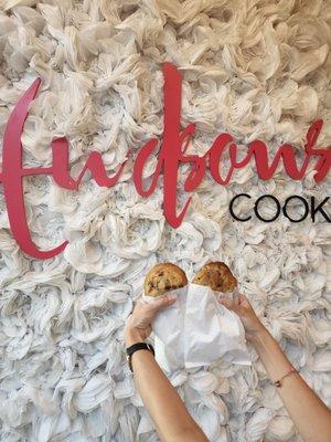 Hudson's cookie backdrop