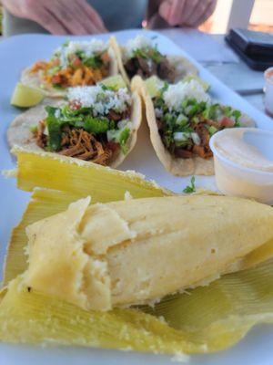 Corn tamale, shredded beef and shredded chicken tacos, and spicy beef taco.