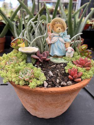 Succulent fairy garden