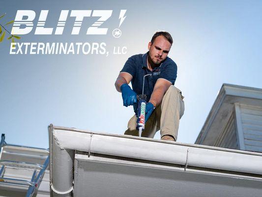 Blitz Exterminators, LLC