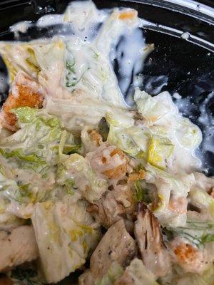 Grilled Chicken Caesar Salad drenched in dressing. I never asked for extra or a side of it.