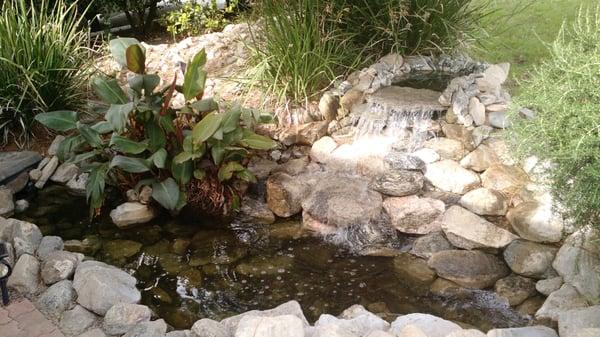 Ed had rejuvenated our pond! So clear and beautiful!