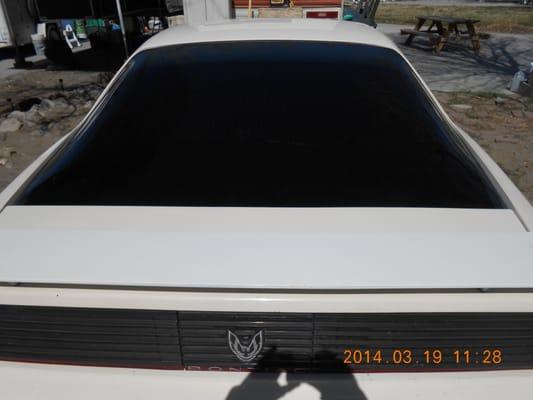 84 Pontiac Firebird big back curved window.  10 months and no bubbles or fading.  So far so good.