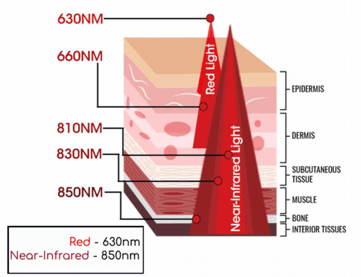 What's the difference between Red Light and Near-Infrared Light?