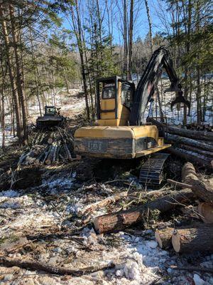 Mario Pelletier Tree Removal