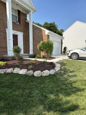 Front yard was overgrown- so nice and clean now