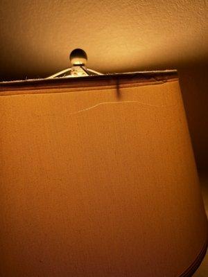 Broken lamp shade