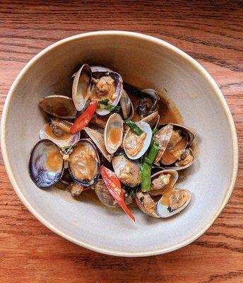 Manila Clam with sweet basil