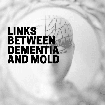 Subtype 3 is commonly called the Inhalational Alzheimer's Illness (IAD) and is caused by breathing in poisons which bioaccumulate.