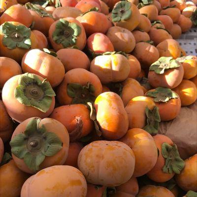 Persimmons