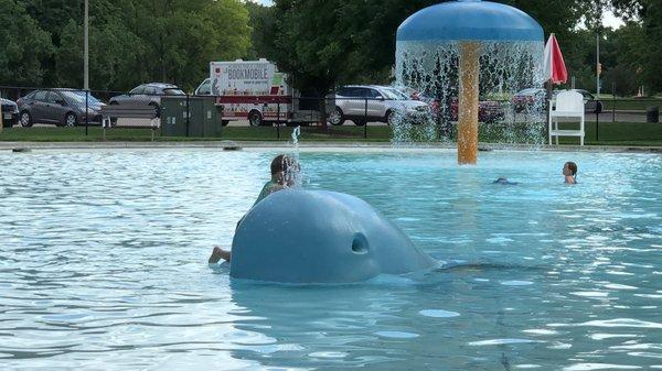 Palmer wading pool. Not deep at all.