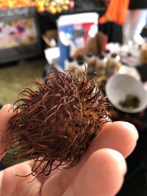 A Rambutan fruit