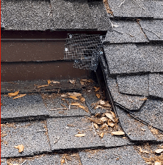 A very well hidden entry point made by rats into an attic of a home.