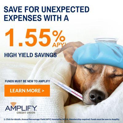 High Yield Savings