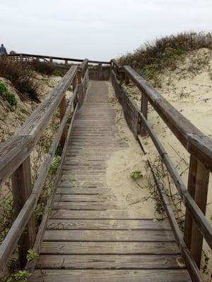 Through the sand dunes...