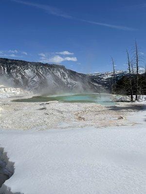 Trek to Mammoth Hot Springs in Yelllowstone