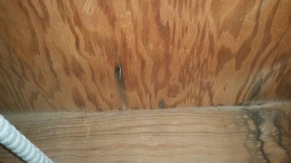 The post remediation inspection showed that the company we referred did the job right and removed all the mold in the whole c...