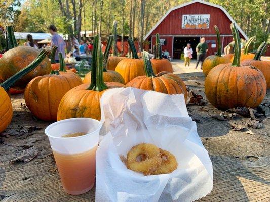 Apple Cider Donut, Apple Cider, Pumpkins