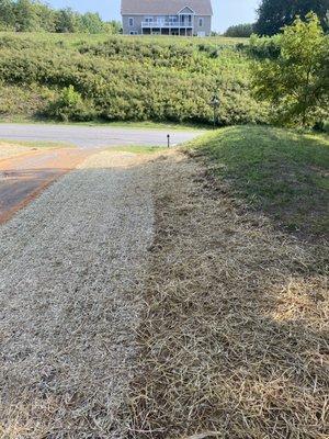 Seed and straw