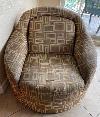 Dirty worn out chair in living room