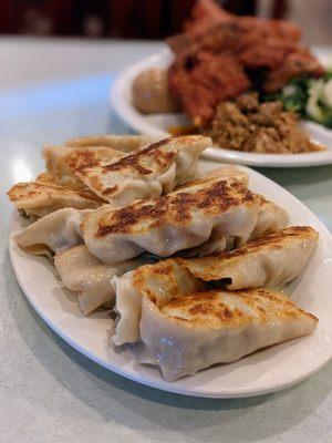 Pan Fried Pork Dumpling - chives. Gr8