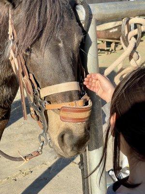 Getting to know one another.