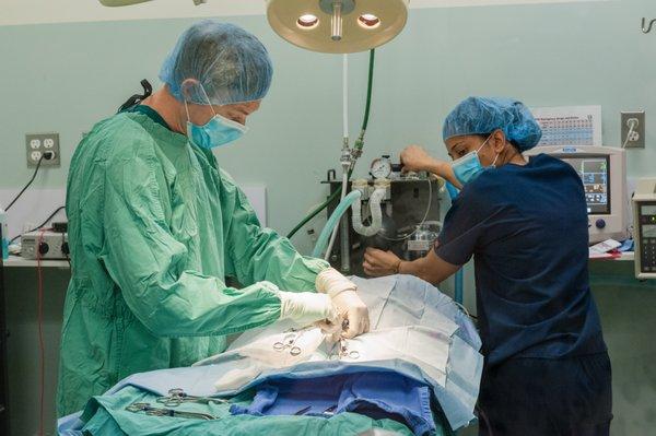 Dr. Smith in surgery