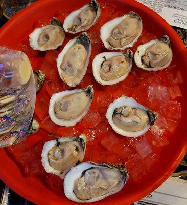 Dozen Oysters - $17.95