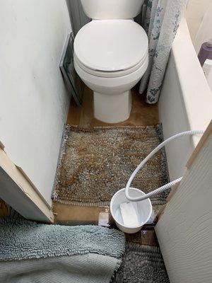 When flushing the tank, it overflowed pushing the contents of the septic tank out through the toilet all over the trailer