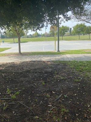 Basketball area, two baseball fields, soccer fields