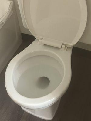 Missing toilet seat