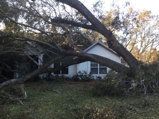 Storm Damage