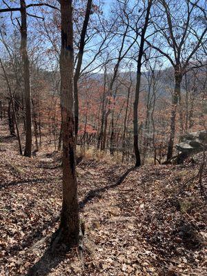 Fire Tower Trail