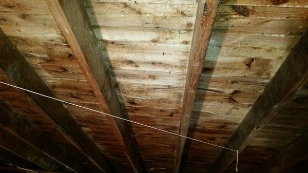 After: We can remove the black stain from your attic