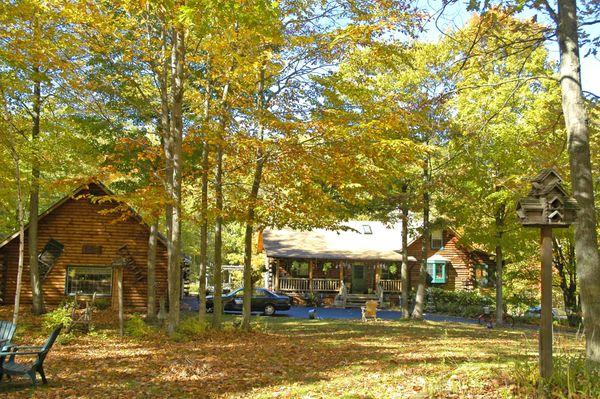 Autumn colors surrounding the house