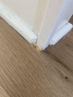 Hole in board filled with putty that doesn't match your hide damage