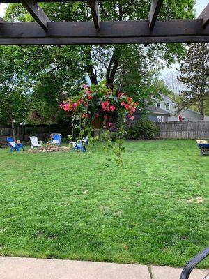 Hanging basket