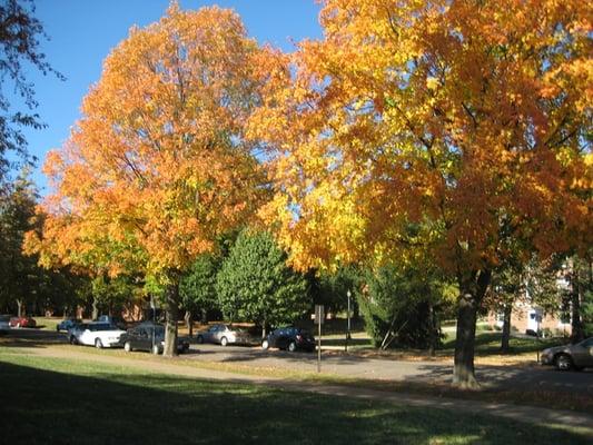 Marietta College