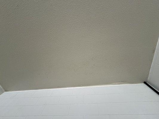 The mold that they sprayed with mildew after not cleaning.