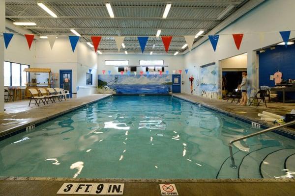 Enjoy your dive or swim class in our indoor, heated pool!