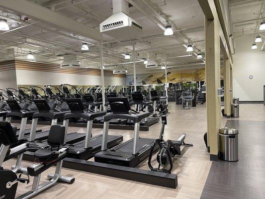 Bikes, Treads, Stair masters, Row Strength training Machines