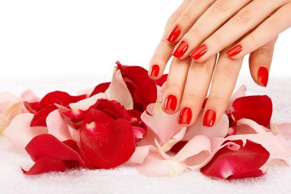 Best Nail Salons Hillside, IL 60162; Manicure Pedicure Hillside, IL 60162 , Nail Salons near me