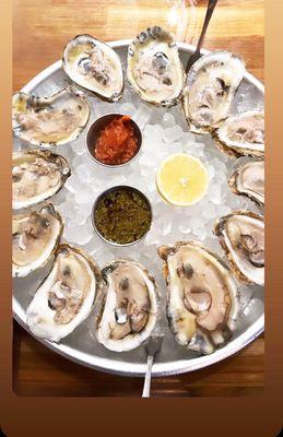 A dozen house oysters (James River)