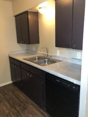 Glittery countertops! With a dishwasher!