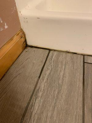 Black Mold in bathroom