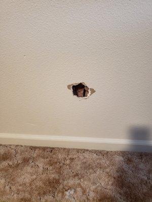 Wall Damage